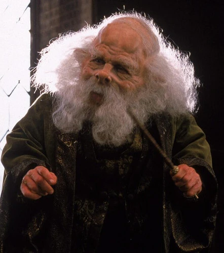 Filius Flitwick